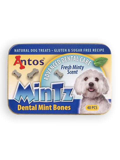 MinTz Dental Mint Bones 40 piezas