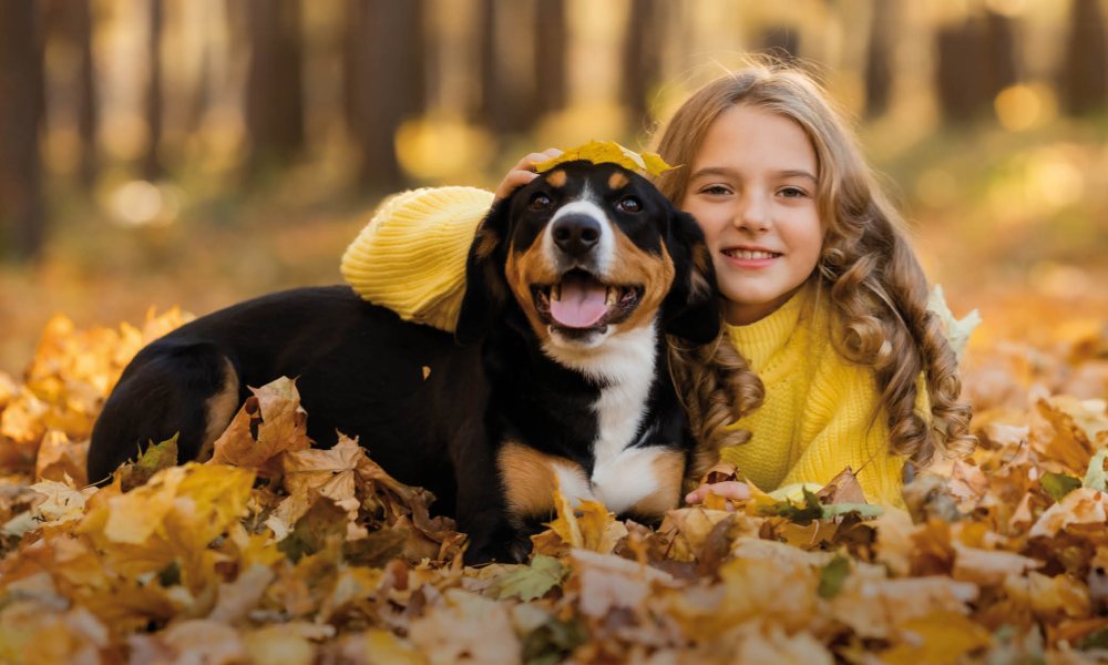 Aperitivos para tu mascota inspirados en el otoño