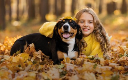 Aperitivos para tu mascota inspirados en el otoño