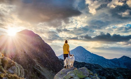 Los perros las encuentran naturalmente deliciosas