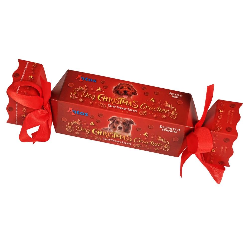 Galleta de Navidad para perros